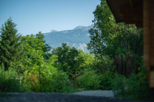 a view of a forest of trees and a mountain at Les Lodges de la Valière in Chorges