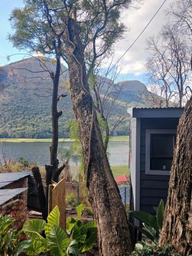 a tree that is leaning against a house at Cozy Kosmos in Hartbeespoort