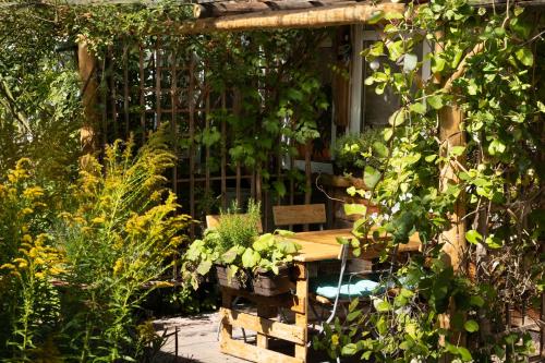 a wooden table in a garden with many plants at Kräuterbaude in Saupsdorf