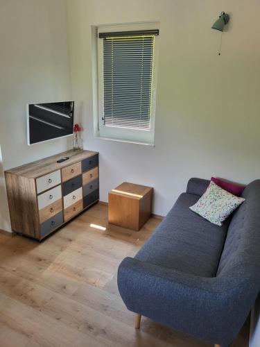 TV a/nebo společenská místnost v ubytování Tiny House Eulenbach