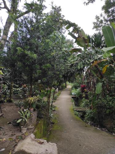 a path through a garden with trees and plants at Linda Homestay in Praya