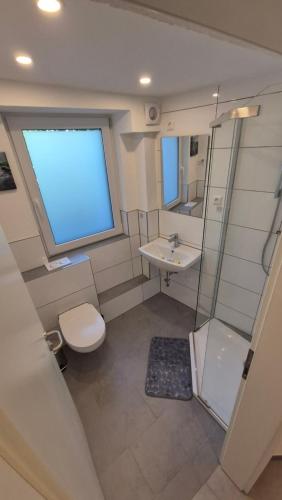 a bathroom with a toilet and a sink and a window at Volkspark-3-Zimmer-Wohnung-4 Betten-Mainz in Mainz