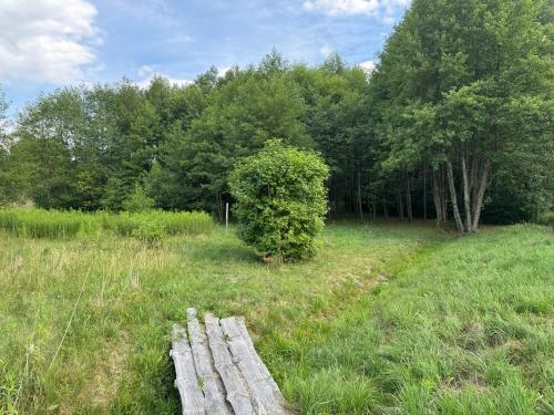 a wooden bench sitting in a field with trees at Czar Roztocza in Hamernia
