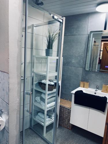 a glass shower in a bathroom with a sink at L Abri douillet in Libin
