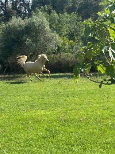 Imagen de la galería de Masia Victoria, en Valls