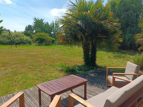 a wooden bench and a chair and a palm tree at Gîte de la Croix Regnault in Raids