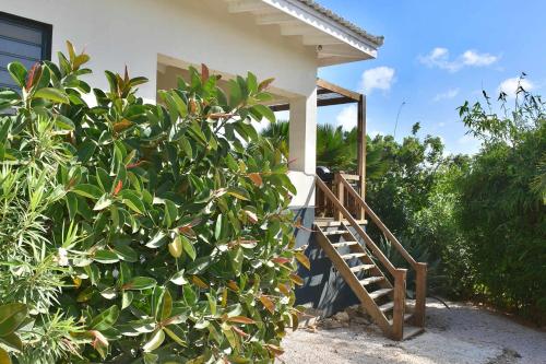 Zahrada ubytování Villa Kas Kris with a tropical garden and a private magnesium pool