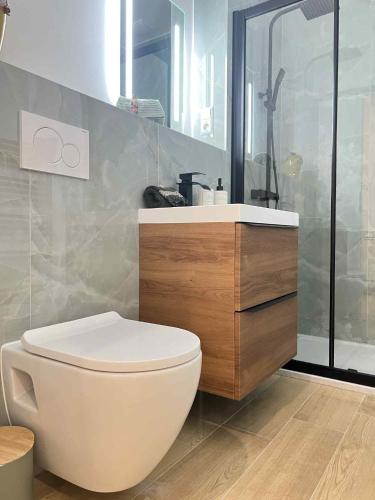 a bathroom with a toilet and a sink at Oasis & Charme au Cœur Ville in Audun-le-Tiche