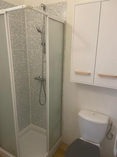 ein Badezimmer mit Dusche und Toilette in der Unterkunft Studio 20m2 Ground Floor street in Colombes