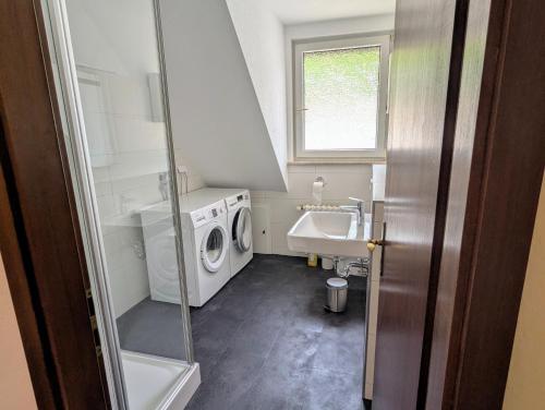 a small bathroom with a washing machine and a sink at Harzflair am Hausberg in Bad Lauterberg