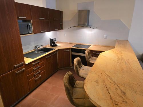 a kitchen with a wooden table and some chairs at Apartment Vodni with parking in Brno