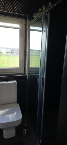 een badkamer met een toilet en een douche en een raam bij Domek nad jeziorem Potoczek, Giże in Giże