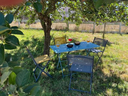 une table bleue et des chaises assises sous un arbre dans l'établissement Domaine La Perruche Parenthèse poétique Vue Mont-Saint-Michel & Petit-déjeuner festin, à Servon