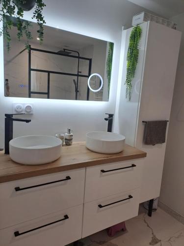 une salle de bain avec deux lavabos et un grand miroir dans l'établissement Chambre chez l'habitant, à La Ronde
