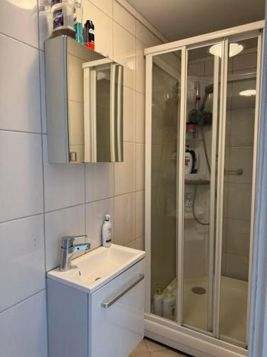 a bathroom with a sink and a glass shower at KSU Topleiligheten in Kristiansund