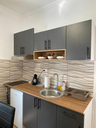 eine Küche mit Spüle und Theke in der Unterkunft Apartman Maki 1 in Sombor