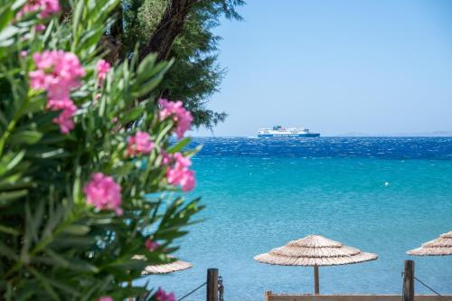 a beach with umbrellas and a cruise ship in the water at Notte di Mare in Kardiani