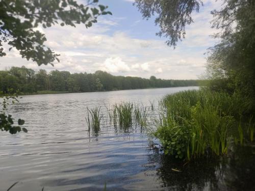 Gallery image of Widok in Ostróda