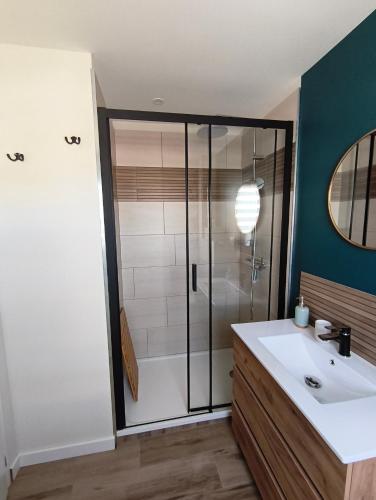 a bathroom with a shower and a white sink at Gite de la perle rouge 1 Chambre 2-4 personnes in Rodelinghem