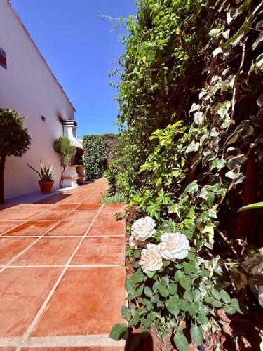 Comfortable apartment near the sea photo 15