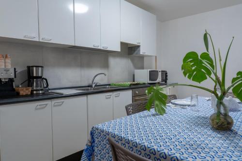 马泰拉La Lanterna Del Sasso的厨房里摆放着盆栽植物的桌子