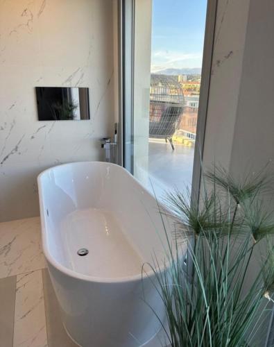 Appartement toit terrasse