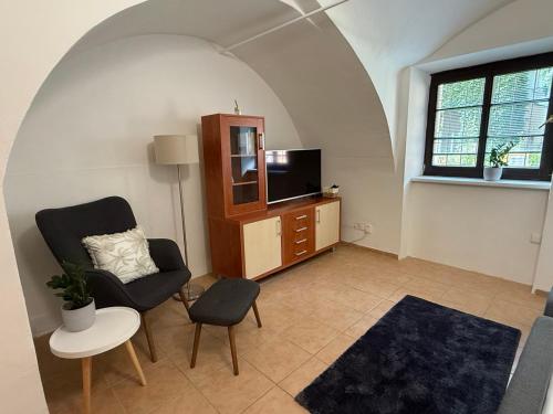 Μια τηλεόραση ή/και κέντρο ψυχαγωγίας στο Apartmán Hradec Králové - U Bílého koně