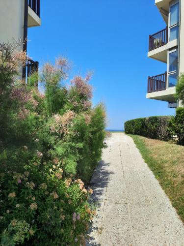 Horizon Marin accès direct plage