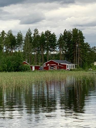 a red barn sitting in a field next to a body of water at Swedish idyll, alp around the corner! in Tallåsen