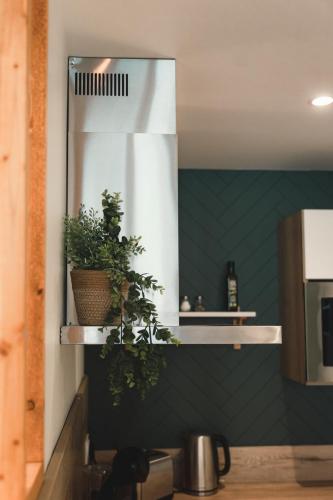 un miroir sur un mur avec des plantes dans une cuisine dans l'établissement La Loge Saumuroise - Centre-ville & Local vélo, à Saumur