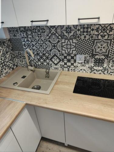 Kuchyň nebo kuchyňský kout v ubytování Apartament w centrum Okuninki