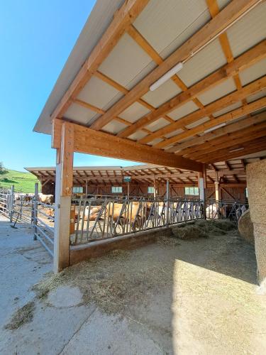 a barn with a wooden roof with cows under it at BIO-Peisingerhof in Sankt Stefan ob Leoben