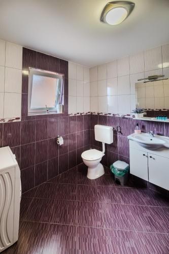 a bathroom with a toilet and a sink at Guest House Mačić in Korenica