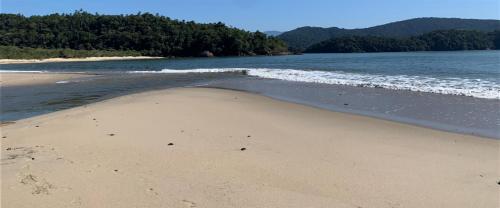 a sandy beach with water and trees in the background at Casa natureza in Paraty