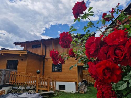 a house with red roses in front of it at Panoramaplatzl in Goldegg