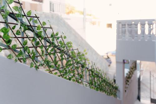 a plant on the side of a stair case at Coastal Bliss- Tsoutsouros in Tsoútsouros