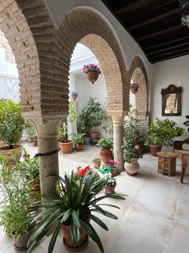 El patio de Regina