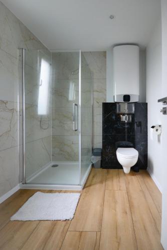 a bathroom with a shower and a toilet at Chatka in Stegienka