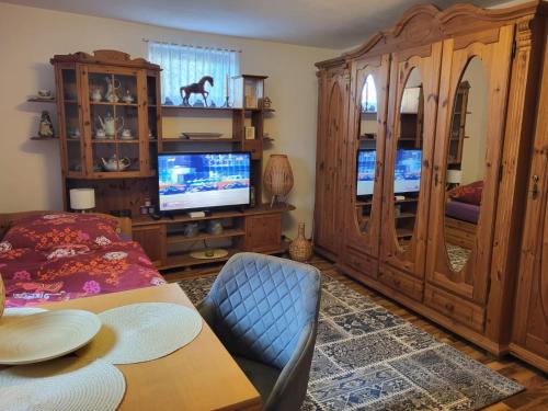 Televisyen dan/atau pusat hiburan di Jolanta-Ferienwohnung an der A3