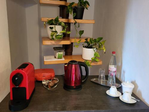 Kemudahan buat kopi dan teh di Jolanta-Ferienwohnung an der A3