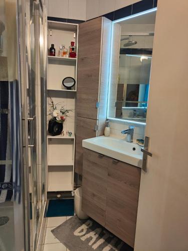 une salle de bain avec un lavabo et un miroir dans l'établissement Front de Mer idéal classé 3 étoiles, à Canet