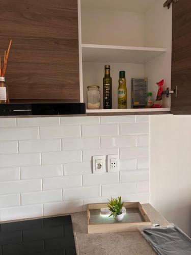 a kitchen with a sink with a plant in it at Ed Hassler #307 Mariale’s in Asuncion