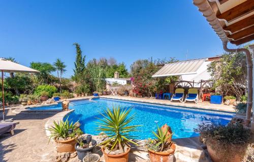 a swimming pool with potted plants next to a house at Sa Torre in Cala Santanyi