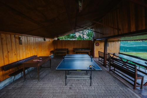 Stolní tenis v ubytování Agro-pensiunea "Plaiul Castanilor" nebo okolí