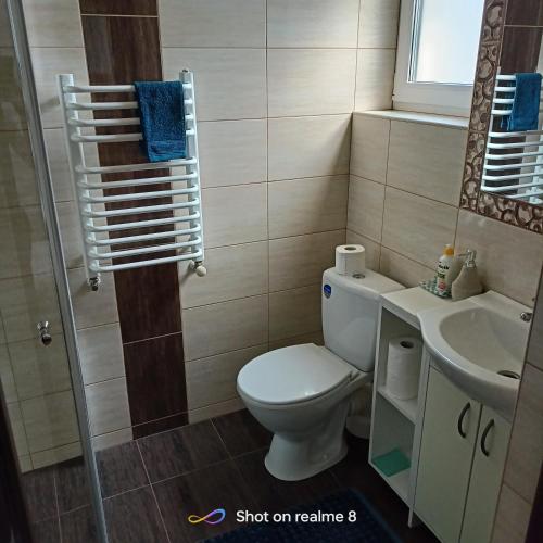 un baño con inodoro y lavabo en Villa Turkus, en Jastrzębia Góra