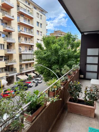 San Francesco Living