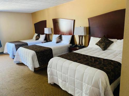 a hotel room with two beds with cats sitting on them at Luxury Inn in Collingwood
