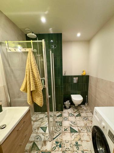 a bathroom with a shower and a toilet at Leonówka in Jegliniec