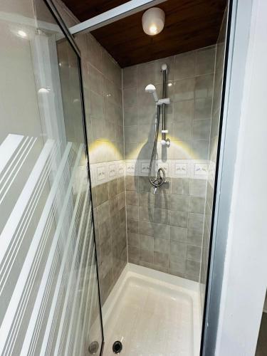 a shower with a glass door in a bathroom at Rembrandt Guest House in Great Yarmouth