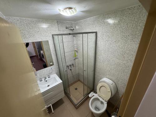ein Badezimmer mit Dusche, Toilette und Waschbecken in der Unterkunft Departamento Centro - San Miguel De Tucumán in San Miguel de Tucumán